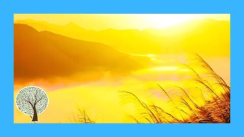 Start each day with positivity | Morning Jazz 🎷 Jazz Relaxing Music