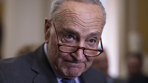 Flashback: Here's Chuck Schumer Arguing For Anti-Fraud Measures For Illegals