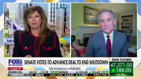 GOP Rep says Schumer 'led Dems off into the desert' over shutdown fight
