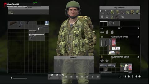 DayZ Solo survival gameplay