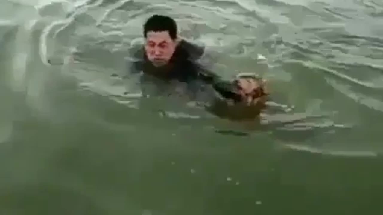 Fun Animals