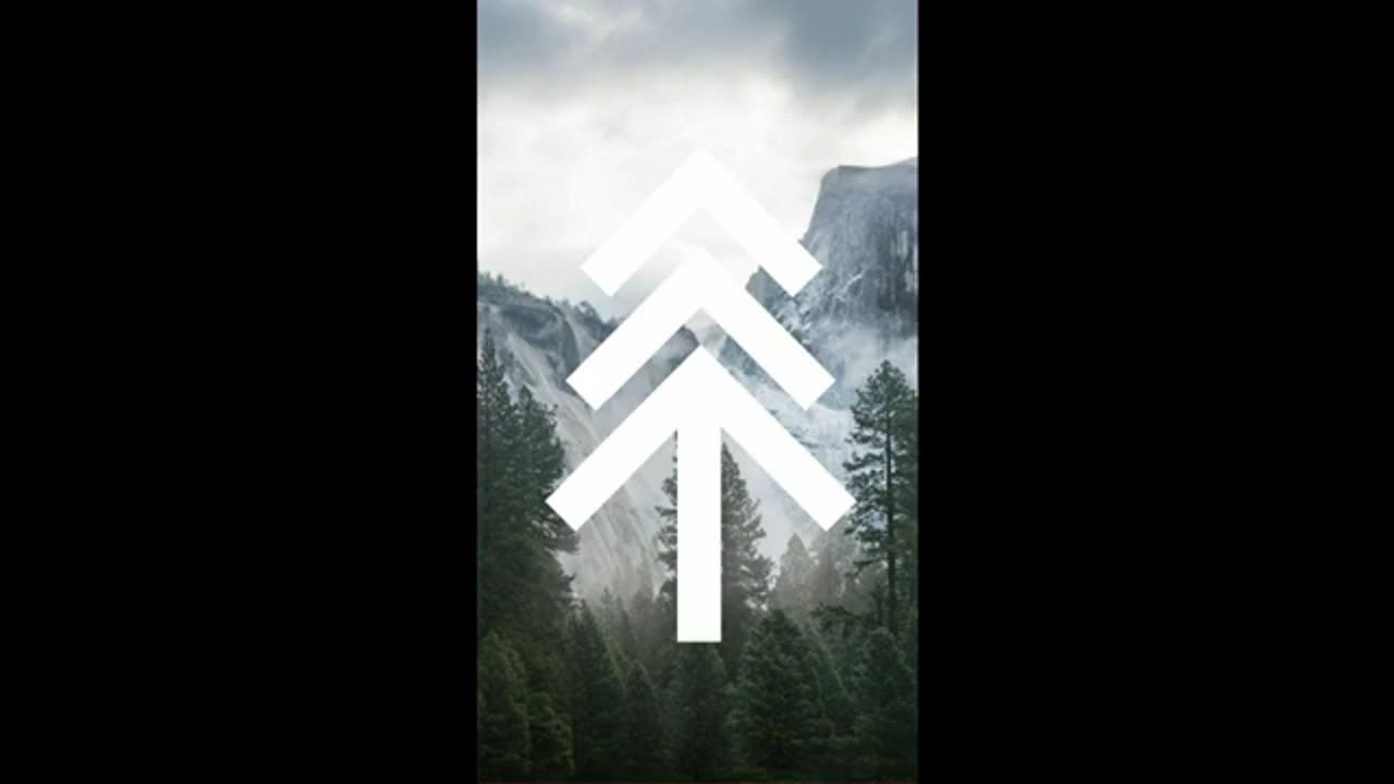 We'll Have Our Home Again - Pine Tree Riots