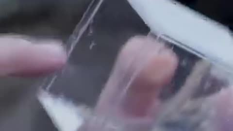 Avoid these sea creatures at all cost!