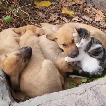 One happy family.. 😊