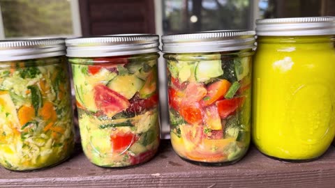 3 Day All Systems Upgrade Raw Living Foods Detox Protocol With Recipes!