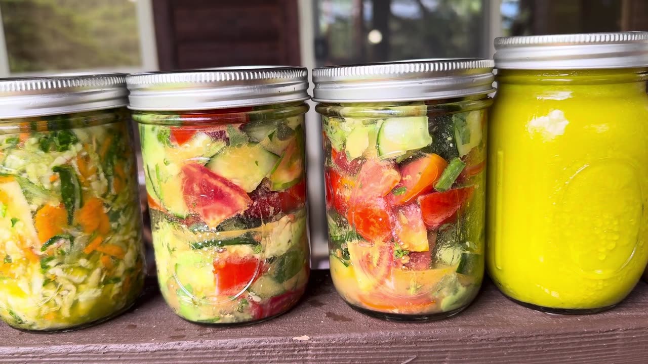 3 Day All Systems Upgrade Raw Living Foods Detox Protocol With Recipes!