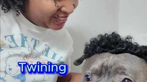 We stay twinning! #ParentLife #CurlsAndChaos #BlueThePitbull
