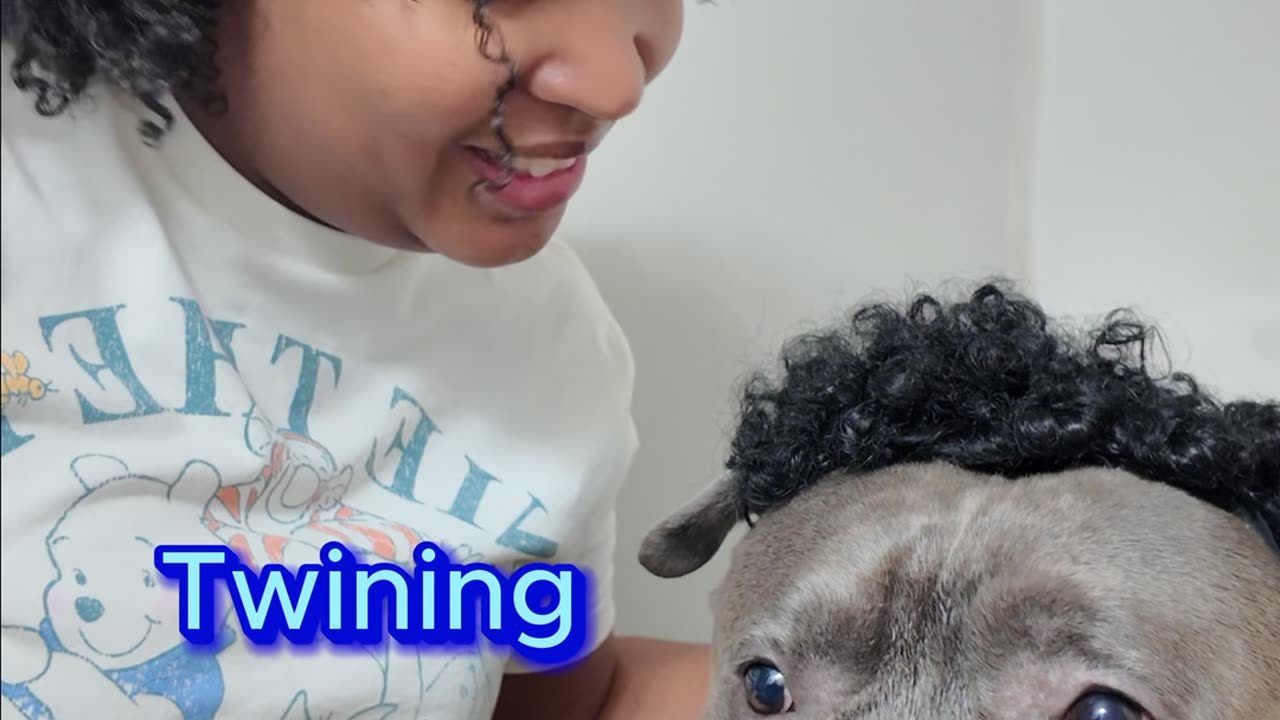 We stay twinning! #ParentLife #CurlsAndChaos #BlueThePitbull