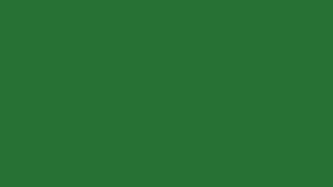 1 HOUR GREEN SCREEN