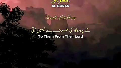 Quran Answer 5: Allah reply to All Mankind | Quran Shots