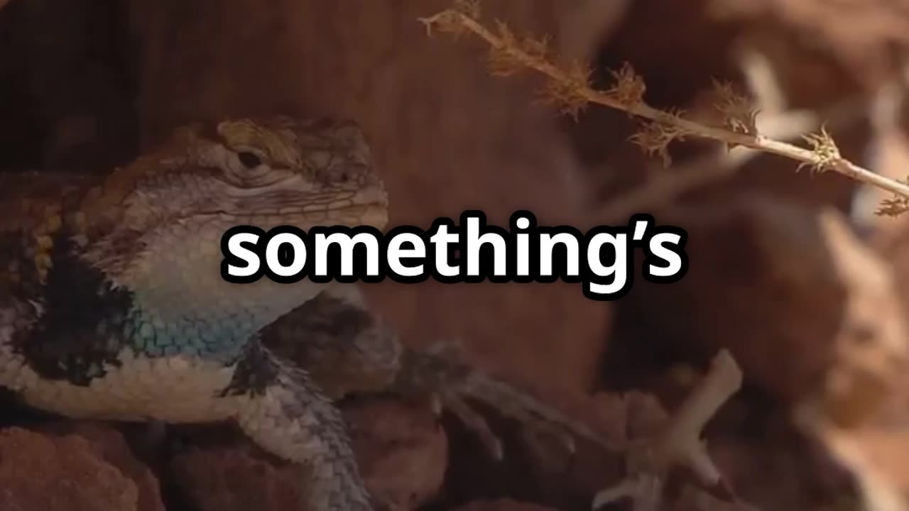 How to Tell If Your Pet Lizard Is Stressed Out 🦎⚠️ | Signs & Care Tips