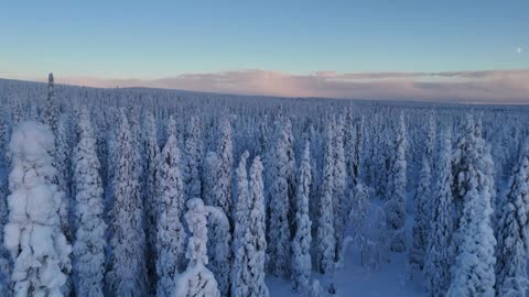 Excado Yolo Study Beats Station