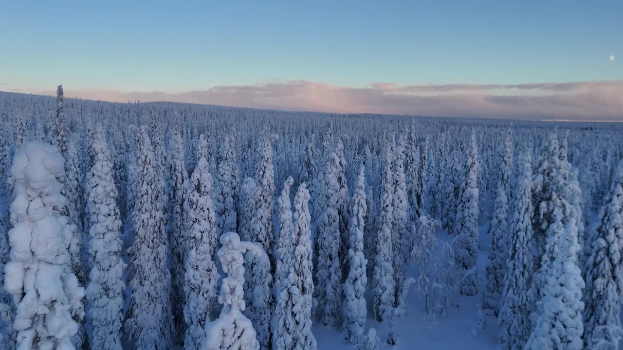 Excado Yolo Study Beats Station