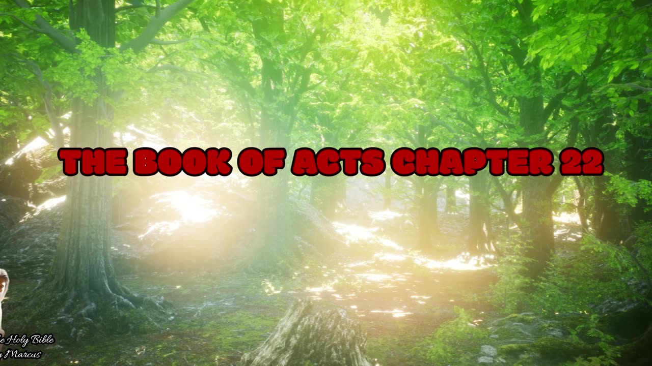 The Book of Acts Chapter 22