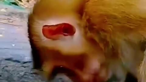 Amazing 😍 funny 😂🤣 clip viral video