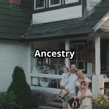 This Is What Pure Dog Happiness Looks Like 🐶💛