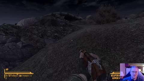 Fallout New Vegas Shenanigans