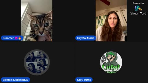 07/26/25 Beeta's Kitties VOD: "Jealousy is hideous 😆 Frisky Mix Fun"