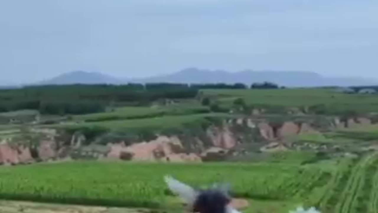 Chinese Tested Gl6 Aps Active Protection System