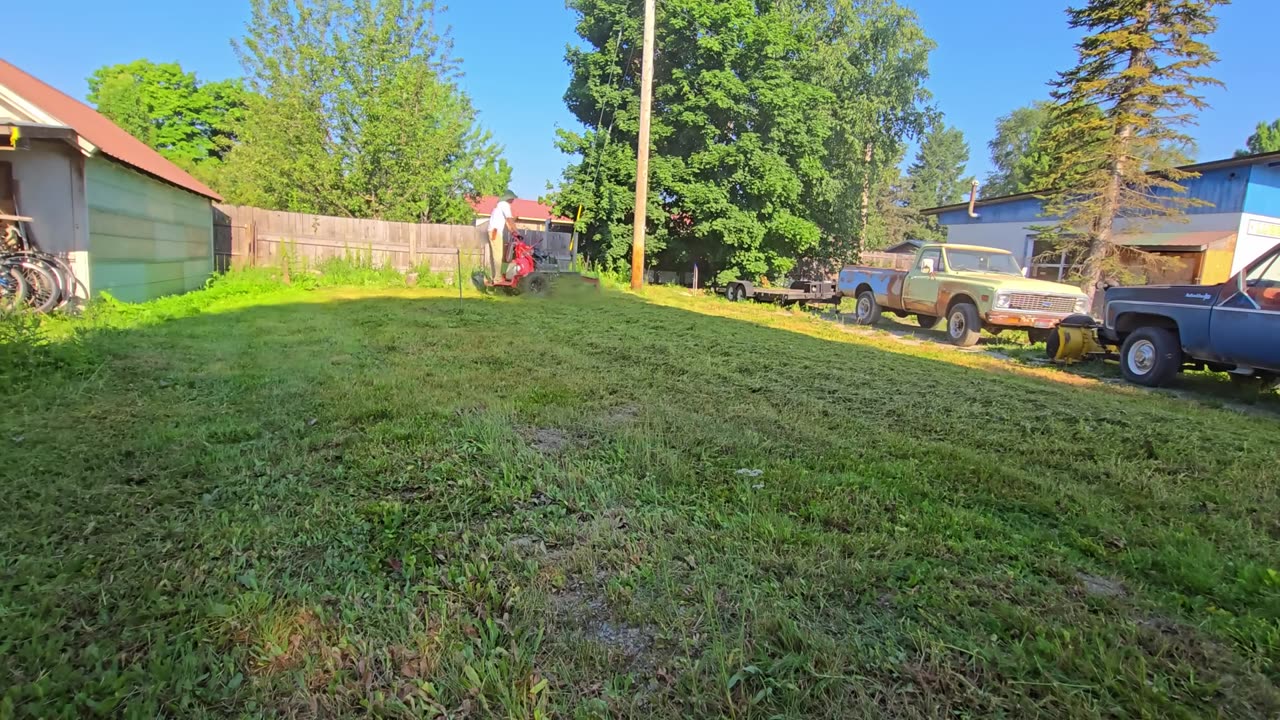 Now Look What Nature Did – PXA774301BV #PlantifyLifeUS #NatureTransformation