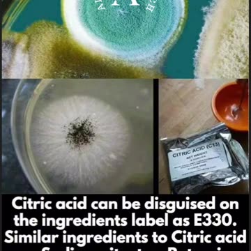 What really is "Citric Acid", is it mold?