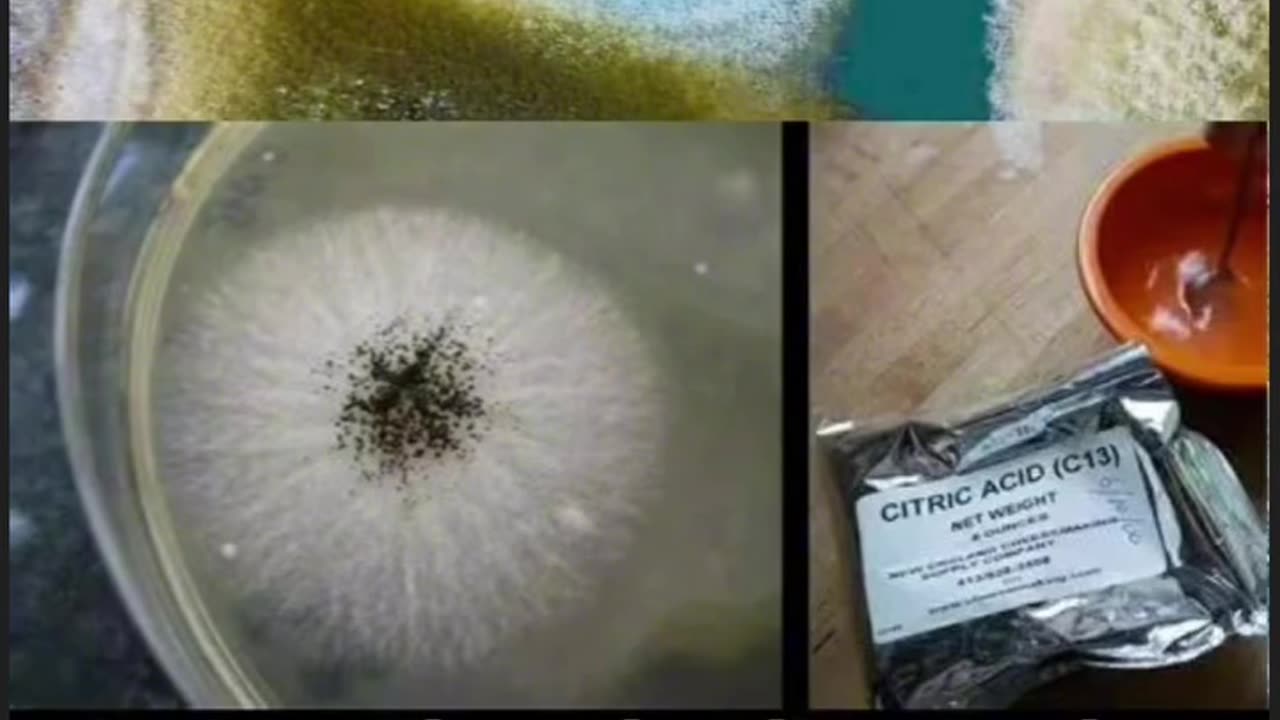 What really is "Citric Acid", is it mold?