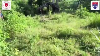 💥🏹 Myanmar War | Cobra One Ambush at Myaing Kone Taw Kyaung | RCF