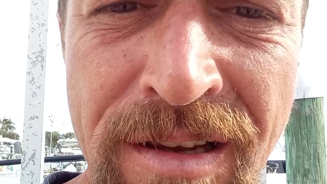 The kids https://youtu.be/gIZ8PkLMMUo?si=1LFmw7PcV3tx4udI