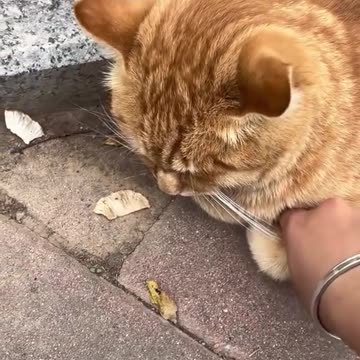 Who did you remember? Send it to him🤣😂