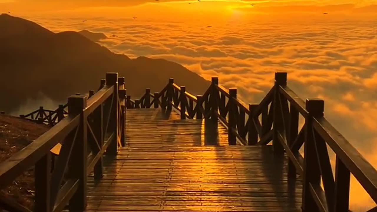Beautiful World 🌎❤️