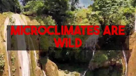 Outdoor Safety Essentials for Enjoying Nature