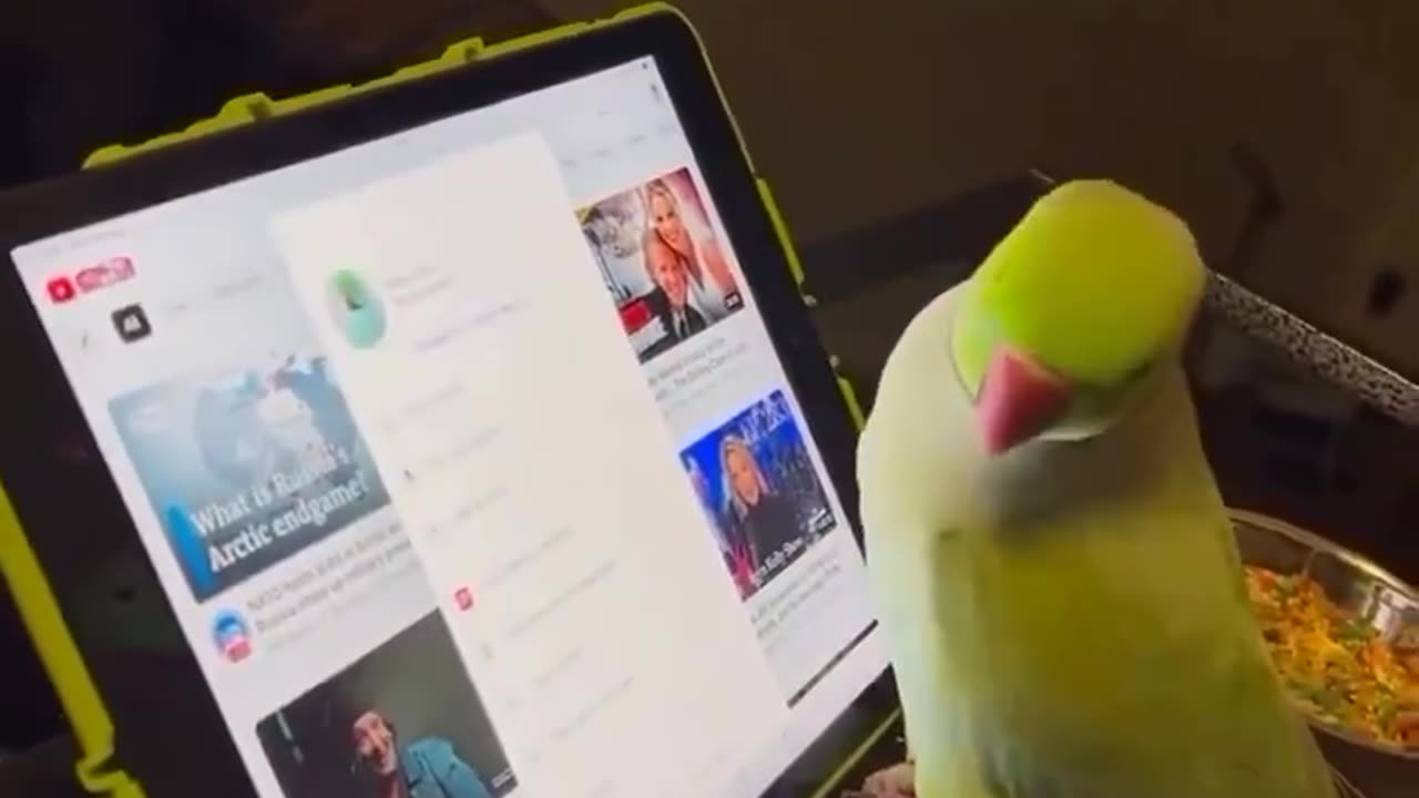 Parrots are intelligent enough to understand touch screen interfaces.