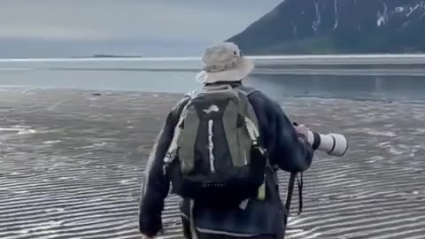 Photographers charged by Grizzly, then Grizzly charged by photographer