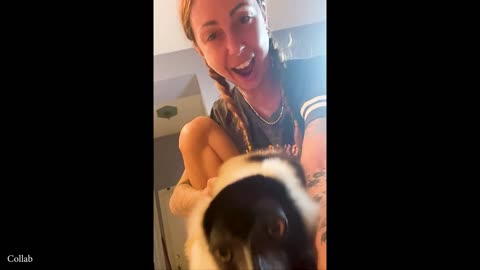 Funniest Animal Video 2025, will blow your mind 🤣 !!!