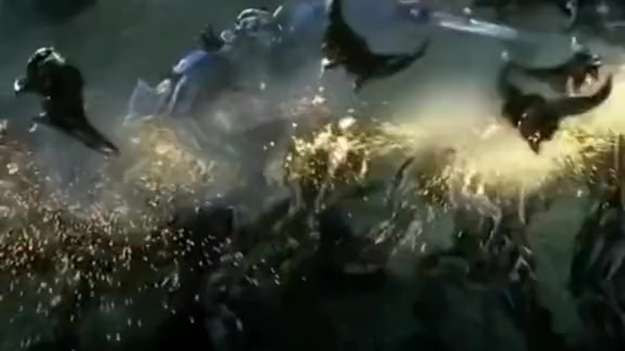 Funny video 😂😂😂