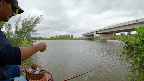Perch Trolling in Lake Deep Drop-Offs