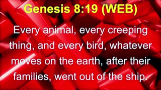 Audio Bible Genesis 8 WEB