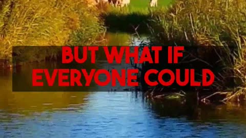 Journeying The Netherlands Local Style Affordable Airfare Guide