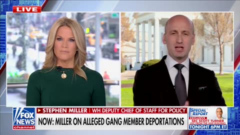 Stephen Miller Goes Nuclear On 'Degenerate' Left-Wing Attorney