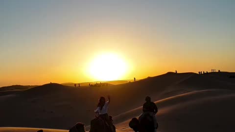 Life was created to be lived in the desert because the desert is a treasure