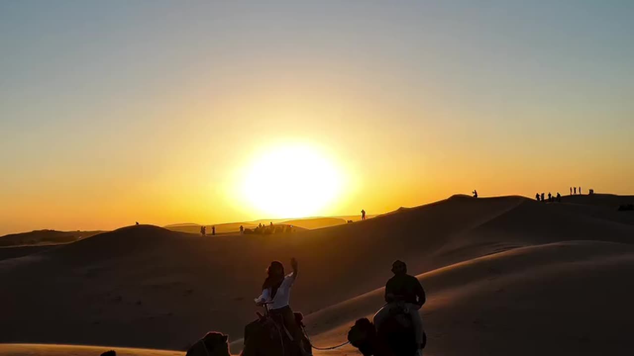 Life was created to be lived in the desert because the desert is a treasure