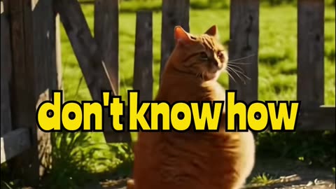 Cat has INSANE Moves!...
