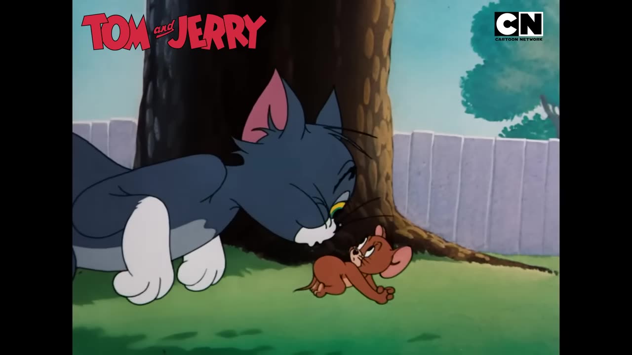 Tom & Jerry