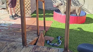 😂❄️ You Won't Believe How He Figured Out The Pool! Ice Cube Trick | FunFM