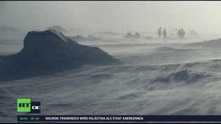 RT DE Live-TV