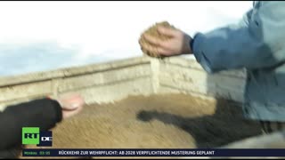 RT DE Live-TV
