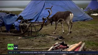 RT DE Live-TV