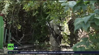 RT DE Live-TV