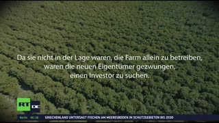 RT DE Live-TV