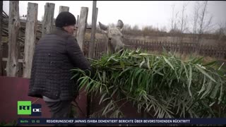 RT DE Live-TV